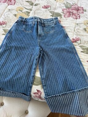 Free People Blue Striped Cropped Wide-Leg Jeans